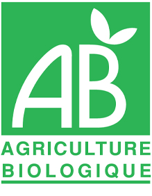 Barre énergétique bio – Abricot & Coco